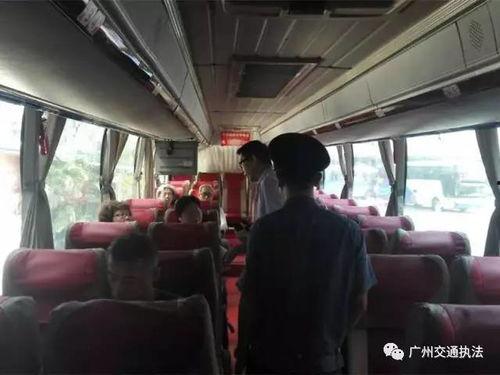 大黑鸡大巴视频在线,揭秘神秘旅途中的欢乐时光